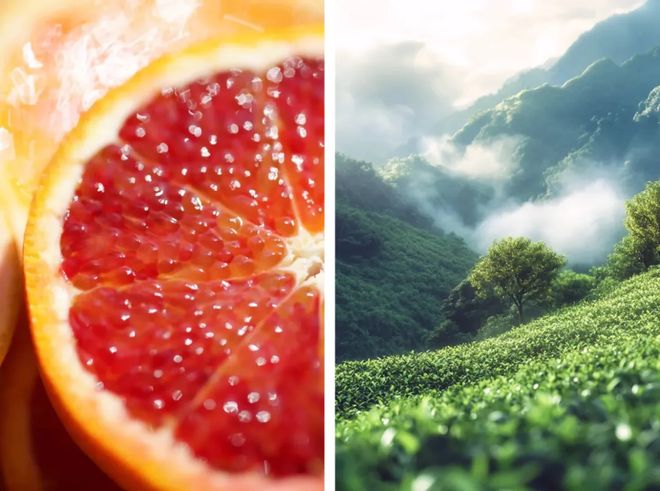 水、身体炸划算还有节日限定香薰、香包不朽情缘登录入口香香好物丨欧珑正装香(图19)