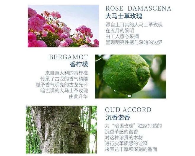 水、身体炸划算还有节日限定香薰、香包不朽情缘登录入口香香好物丨欧珑正装香(图34)